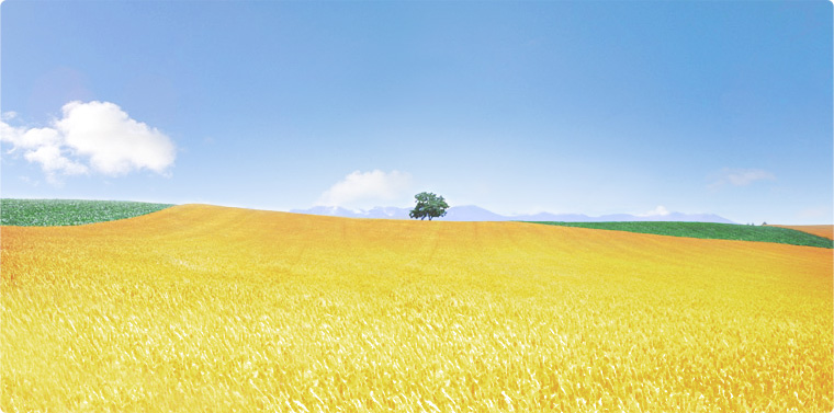 Chiba Flour Milling Co.,Ltd