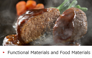 Functional Materials and Food Materials