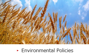 Environmental Policies