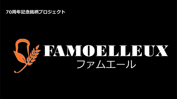 セール 千葉製粉 ムシパンミックス560 20kg materialworldblog.com